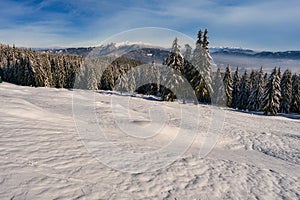 View from from meadow under Dlha Luka hill on Mala Fatra mountains  near Martinske Hole