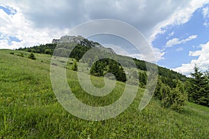 View from meadow on Velky Rozsutec