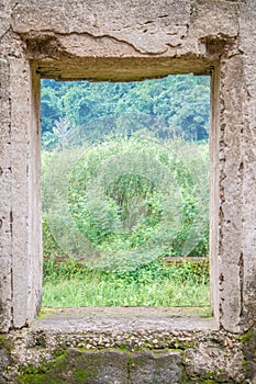 View of the meadow through the window photo