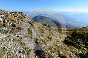 View the meadows in The Vratna valley at the national park Mala Fatra