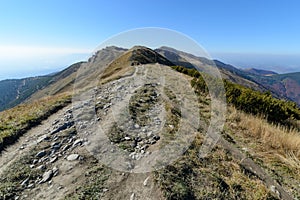 View the meadows in The Vratna valley at the national park Mala Fatra