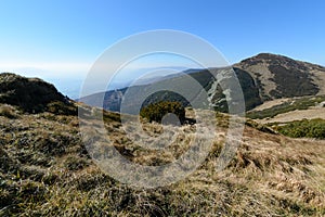 View the meadows in The Vratna valley at the national park Mala Fatra