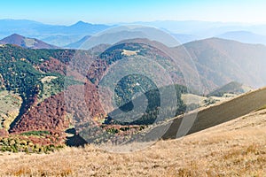 View the meadows in The Vratna valley at the national park Mala Fatra in sunny day, Slovakia.