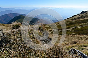 Pohľad na lúky vo Vrátnej doline v národnom parku Malá Fatra