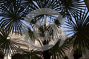 View of a medieval building through the leaves of plants