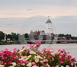 View of the medieval Vyborg Castle and the tower of St. Olaf on a summer evening. Selective focus.