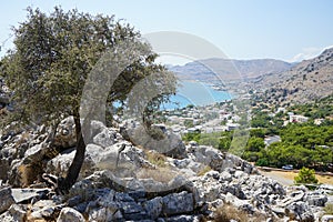 View of the Mediterranean coast in the vicinity of Pefki in August. Pefkos or Pefki, Rhodes Island, Greece