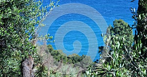 View Of The Mediterranean Sea Behind The Tree Branches