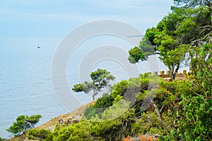 View of the Mediterranean Sea, pine trees and walking path in cloudy weather in Lloret de Mar, Costa Brava