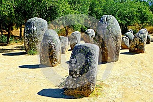 View of the megalithic complex against the backdrop of a cork oak plantation