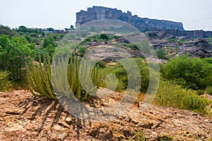 View of Mehrangarh fort from Rao Jodha desert rock park, Jodhpur, India.