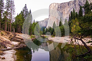 View on the Merced River and El Capitan in Yosemite National Park, USA