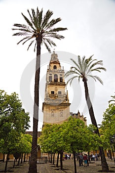 View of mesquita tower in Cordoba
