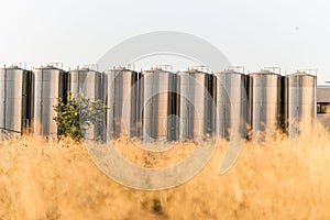 View of metallic industrial storage tanks in a row under the blue sky