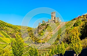 View of Metternich Castle at Beilstein in Germany