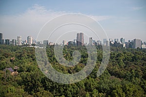 View of Mexico City skyline