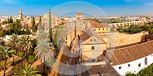 View of Mezquita from Alcazar in Cordoba, Spain