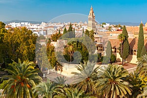 View of Mezquita from Alcazar in Cordoba, Spain