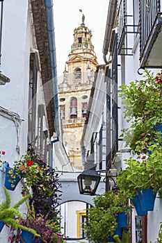 View of the Mezquita and the floral street in Cordoba