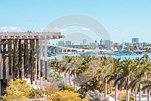 View of Miami beach, Florida with palm trees and a bridge