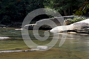 View of middle fork river detail