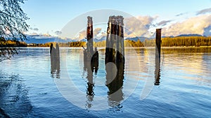 View of the mighty Fraser River in BC Canada