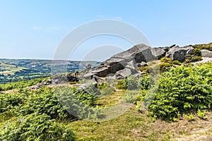 A view of a millstone rock cluster on the top of the Bamford Edge escarpment