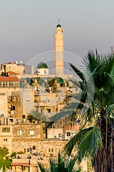 View of minaret and Arab homes in East Jerusalem through palm trees on the Davidson Centerâ€™s southern steps, Jerusalem, Israel