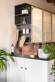 View of the mini bar with a built-in cabinet made of white painted wood in a small but cozy kitchen with plants and