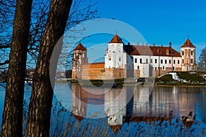 View of Mir Castle from pond, Belarus