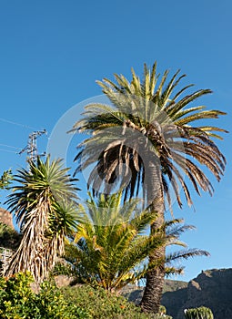 View from Mirador de Masca, Tenerife