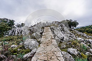 View of the Mirador del Guarda Forestal viewpoint in the Sierra de las Nieves mountains photo
