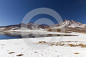 View of Miscanti Lagoon, Chile