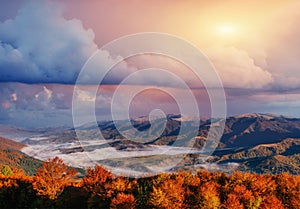 View of misty fog mountains in autumn, Carpathians, Ukraine