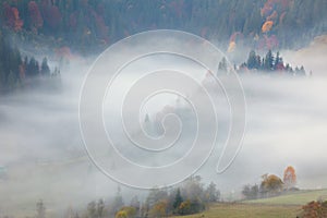 View of Misty Fog in the Mountains - Beautiful Autumn Forest