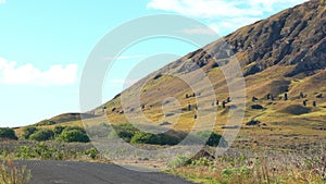 View of Moai in the quarry at the Volcano Rano Raraku