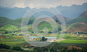 View of Moc Chau highland with moutain background