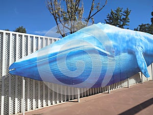 View of Modern Architecture - the Oceanografic Aquarium in the City of Arts and Sciences in Valencia- Spain.