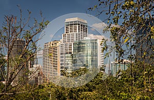 View of Modern high buildings among green trees space in nature against blue sky with clouds at afternoon