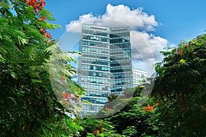 View of a modern skyscraper with green trees with red flowers on the foreground