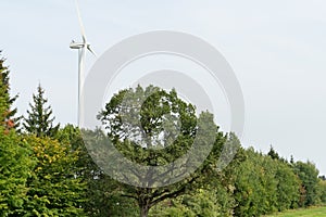 view of a modern windmill against a blue sky. The white blades of the wind turbine. Wind turbines in the forest away from the big