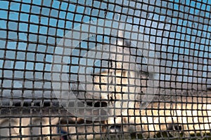 View of a monastic wall through mesh fence