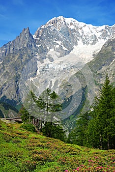 View on Mont Blanc ( Monte Bianco )