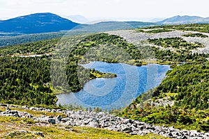 View from the Mont Jacques-Cartier photo