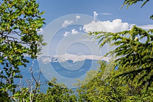 View of Mont Ventoux in Provence, France