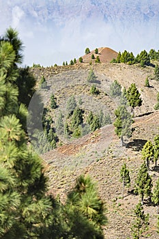 View From Montana de los Charcos, La Palma Spain photo