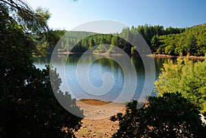 View of Monte Lerno forest