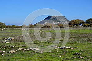 View of Monte Pelao, in background Monte Santo photo