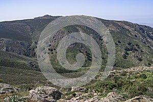 View of Monte Tratzalis