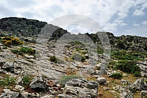 View of Monte Tratzalis
